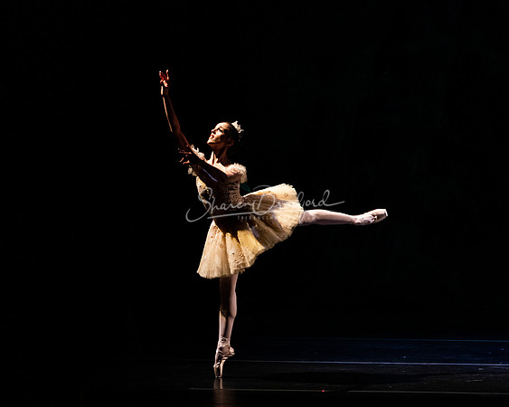 Ballet NTX Sleeping Beauty pc Sharen Bradford-1244