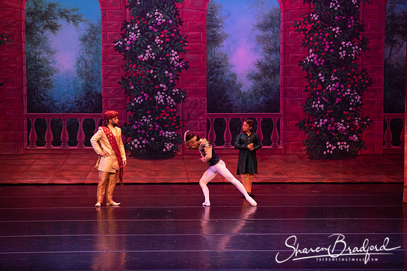 TDC La Bayadere pc Sharen Bradford-2668