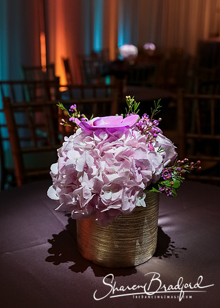 BWD Gala 2019 pc Sharen Bradford-0147