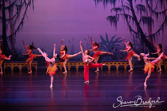 TDC La Bayadere pc Sharen Bradford-3045