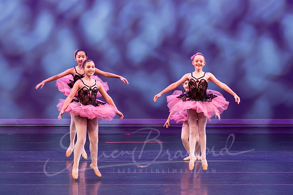 Flower Variation-0953