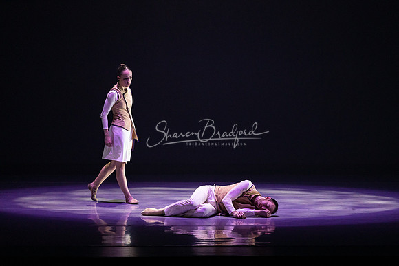 BWD When the Sky Fell Purple pc Sharen Bradford-5576