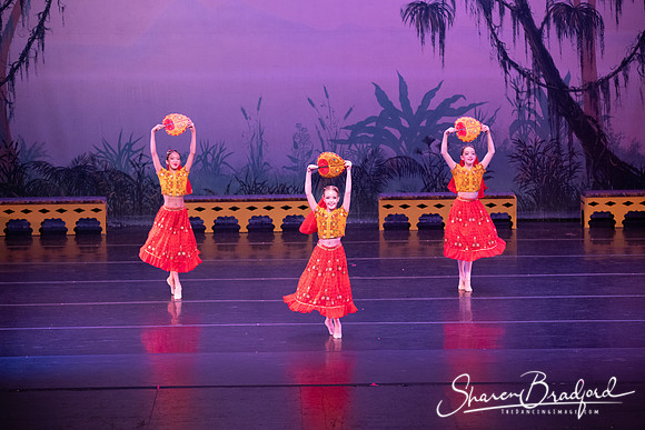 TDC La Bayadere pc Sharen Bradford-2874