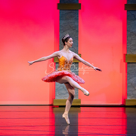 Ballet NTX Sleeping Beauty pc Sharen Bradford-0168