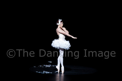 Dying Swan-0512