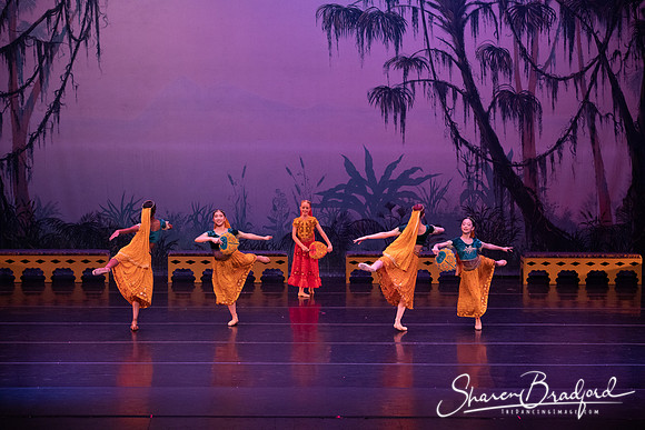 TDC La Bayadere pc Sharen Bradford-2909