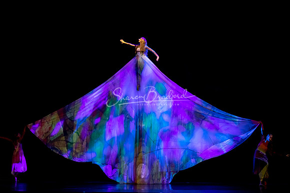 MOMIX Alice pc Sharen Bradford-1201