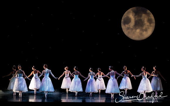 Nutcracker matinee pc Sharen Bradford-5075