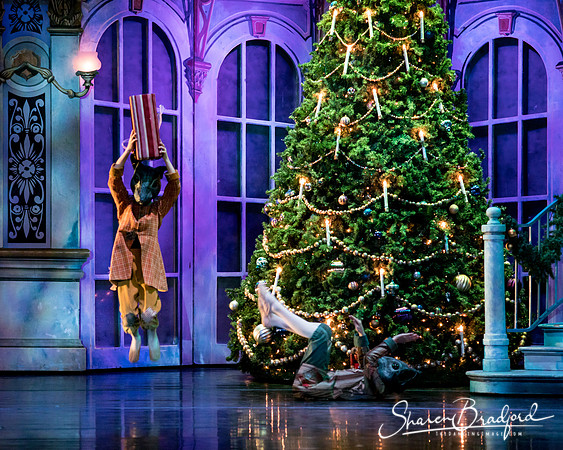 Nutcracker matinee pc Sharen Bradford-4669