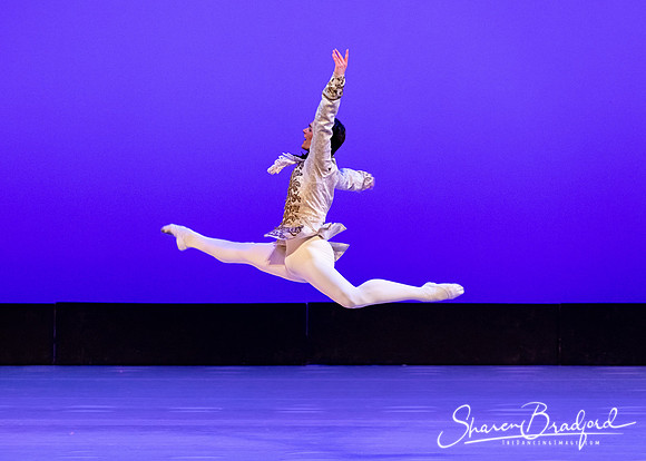 TBT Sleeping Beauty Pas pc Sharen Bradford-1496