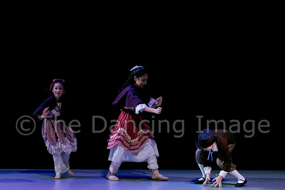 Nutcracker Sat-2720