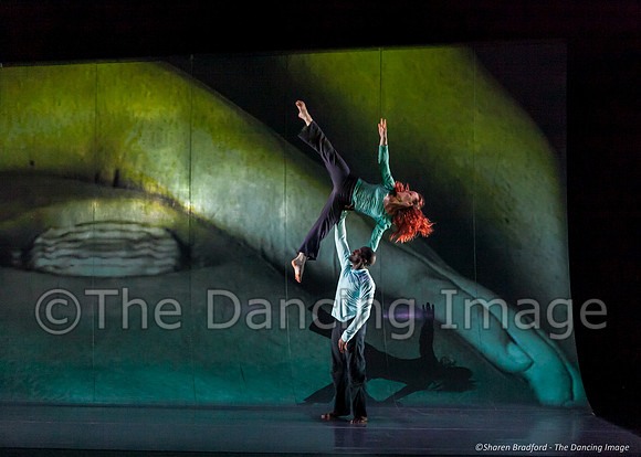 Motionhouse SCATTERED-0737