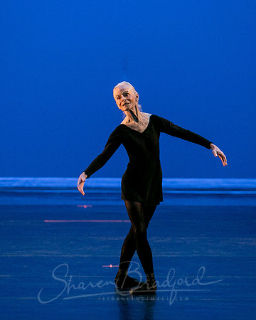 Suzelle Poole- Romance-1339
