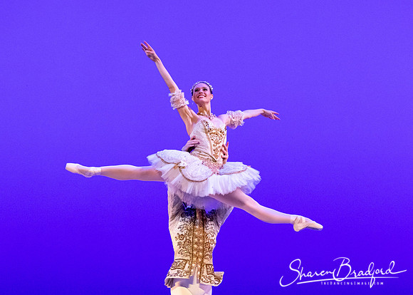 TBT Sleeping Beauty Pas pc Sharen Bradford-1418