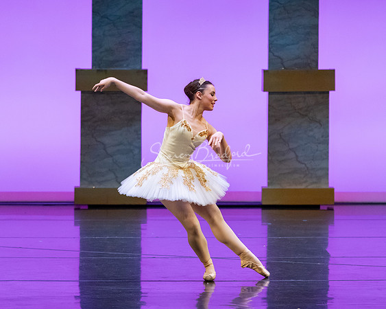 Ballet NTX Sleeping Beauty pc Sharen Bradford-1715