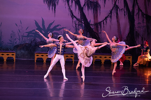 TDC La Bayadere pc Sharen Bradford-3148
