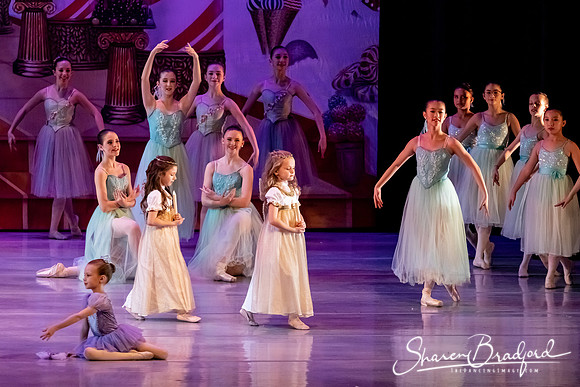 CCBT Nutcracker 19 pc Sharen Bradford-5332