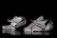 MOMIX Alice pc Sharen Bradford-1027