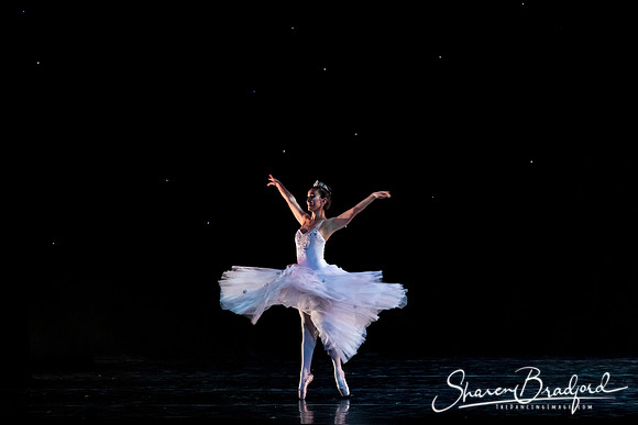 Nutcracker matinee pc Sharen Bradford-5085