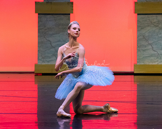 Ballet NTX Sleeping Beauty pc Sharen Bradford-0144