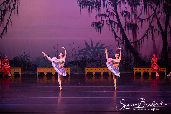 TDC La Bayadere pc Sharen Bradford-3076
