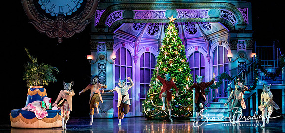 Nutcracker matinee pc Sharen Bradford-4691