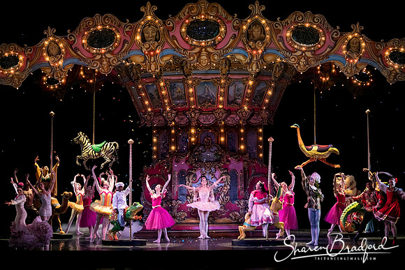 Nutcracker matinee pc Sharen Bradford-5774
