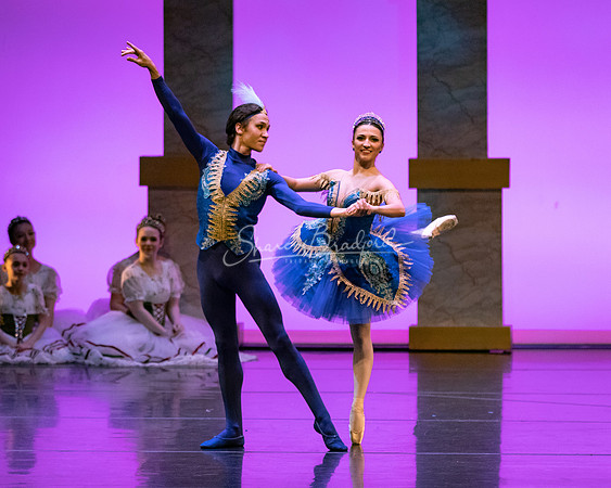 Ballet NTX Sleeping Beauty pc Sharen Bradford-1837