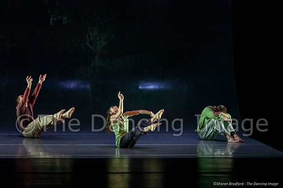 Motionhouse SCATTERED-0580