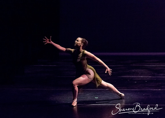 Ballet Dallas Seasons pc Sharen Bradford-1349