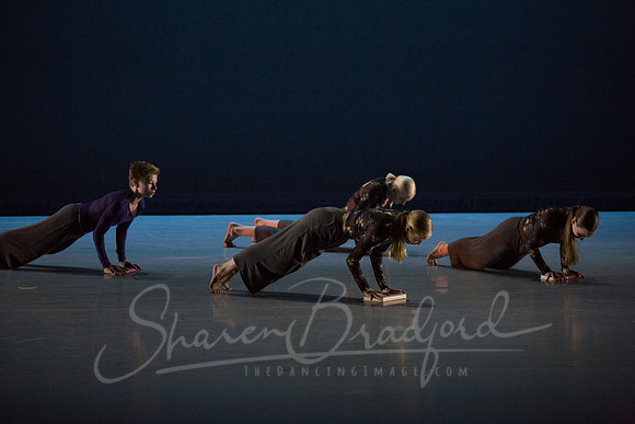 Beyond the Cover pc Sharen Bradford-6813