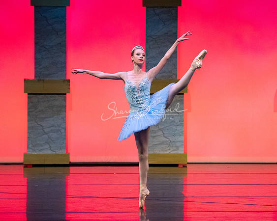 Ballet NTX Sleeping Beauty pc Sharen Bradford-0138