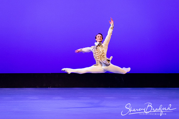 TBT Sleeping Beauty Pas pc Sharen Bradford-1510