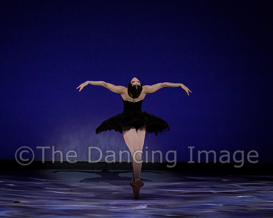 Olga Pavlova_The Dying Swan-3917
