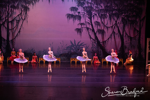 TDC La Bayadere pc Sharen Bradford-3214