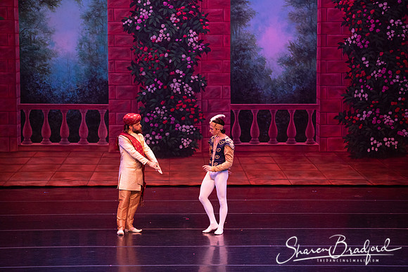 TDC La Bayadere pc Sharen Bradford-2673