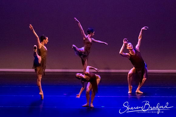 Ballet Dallas Seasons pc Sharen Bradford-1518