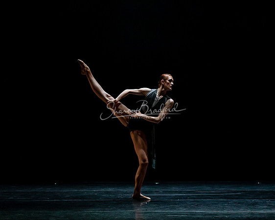 Elegy 2021 pc Sharen Bradford-0342