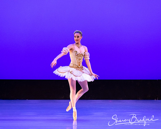 TBT Sleeping Beauty Pas pc Sharen Bradford-1525
