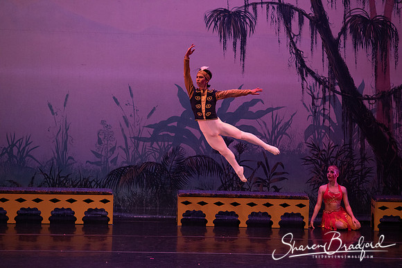 TDC La Bayadere pc Sharen Bradford-3230
