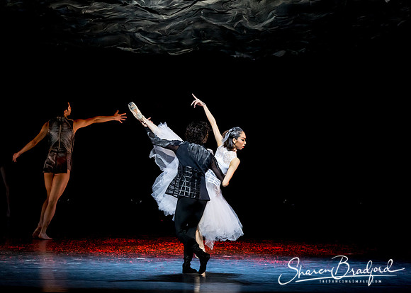 Beijing Dance Theater pc Sharen Bradford-0510