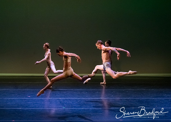 Ballet Dallas Seasons pc Sharen Bradford-1620
