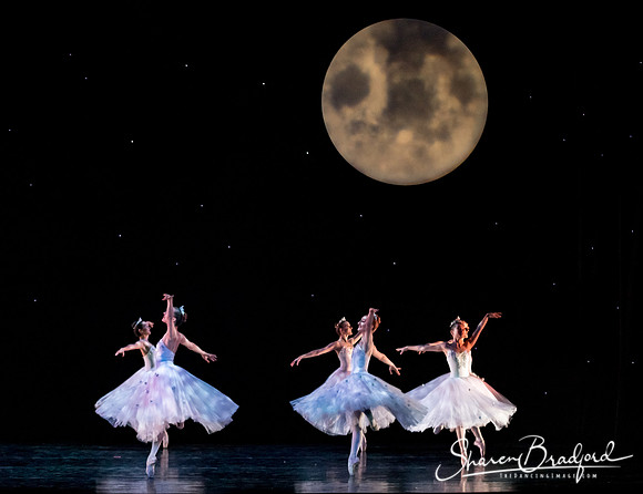 Nutcracker matinee pc Sharen Bradford-5148