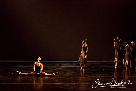 Ballet Dallas Seasons pc Sharen Bradford-1354