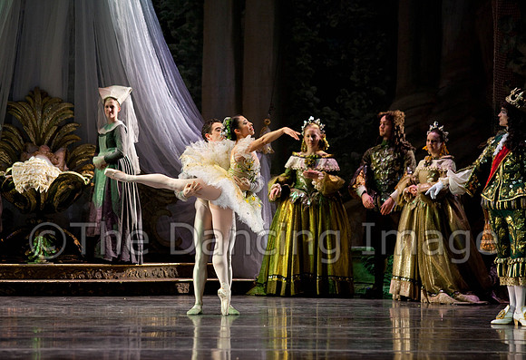 TB Sleeping Beauty Wed.-0016