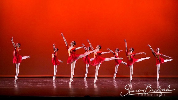Mozart pc Sharen Bradford-3970