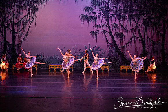 TDC La Bayadere pc Sharen Bradford-3118
