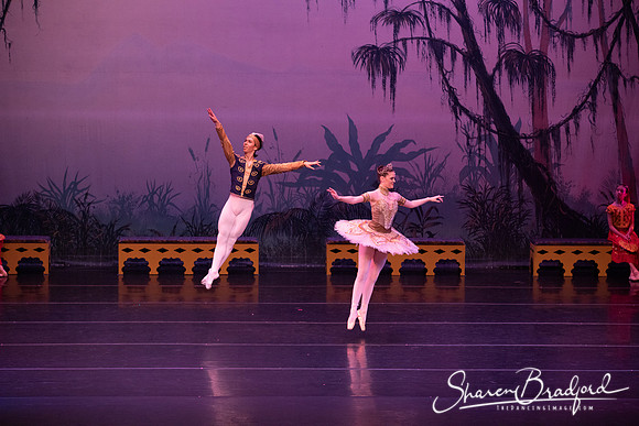 TDC La Bayadere pc Sharen Bradford-3102