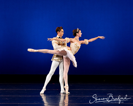 Texas Ballet Theater pc Sharen Bradford-1239