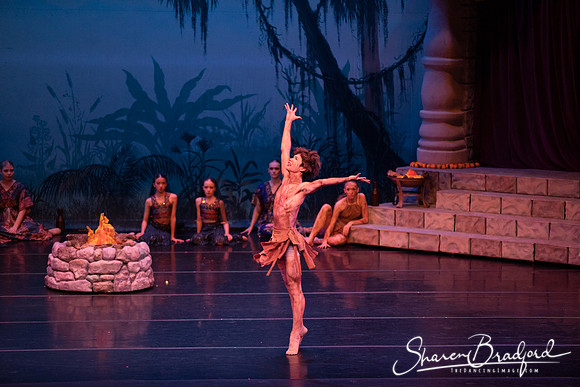 TDC La Bayadere pc Sharen Bradford-2484